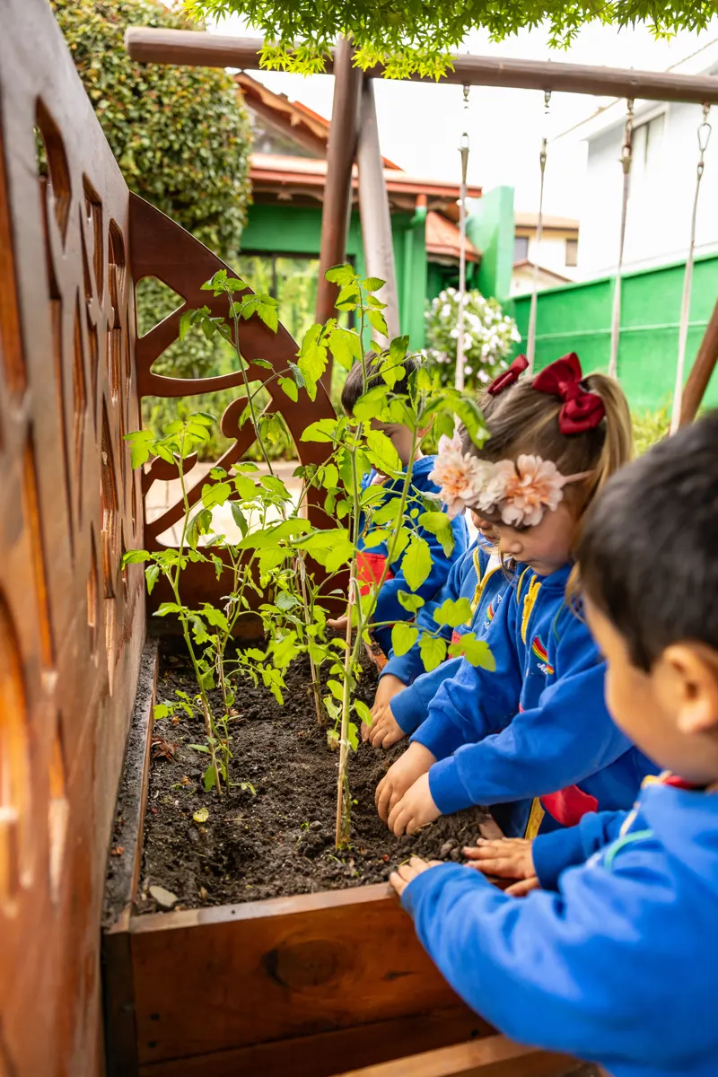 Huerto del Jardín Infantil Arco Iris en Concón
